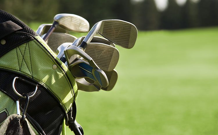 view of golf clubs in golf bag on golf course green